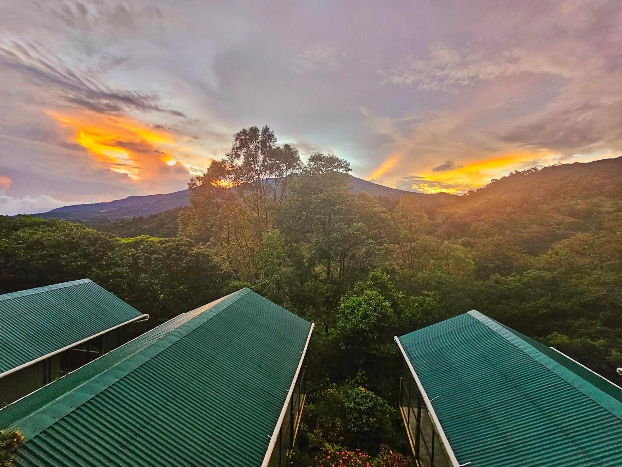 Bed and Breakfast Eco Horqueta Бокете Экстерьер фото